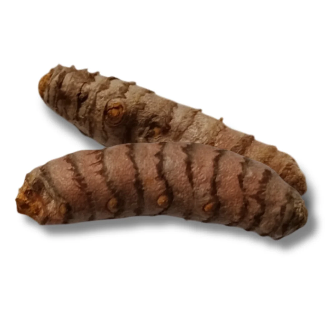 2 Rizomas De Curcuma Aprox. 2-4 Cms
