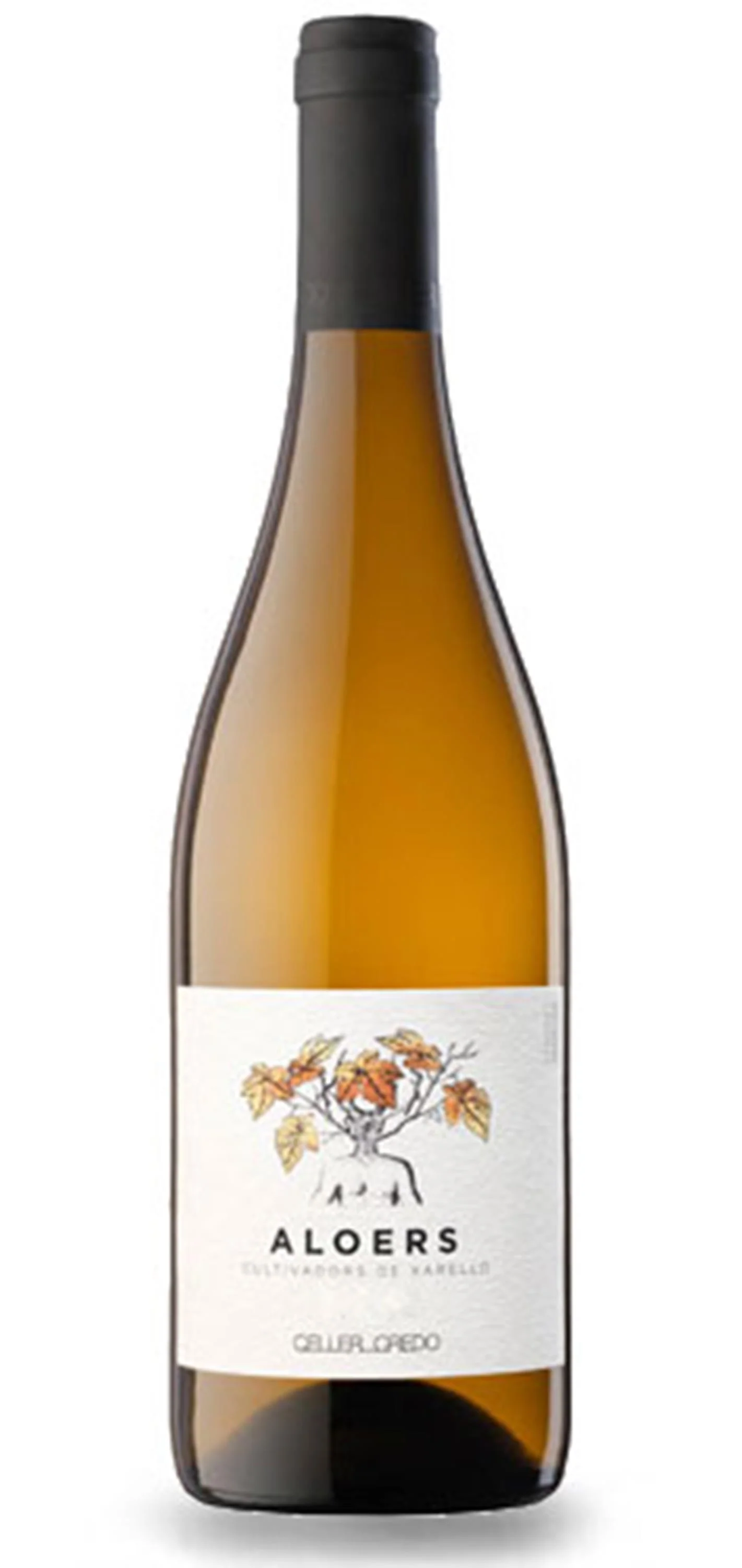 Aloers Do Penedès, 75.00cl, 11,5% Vol
