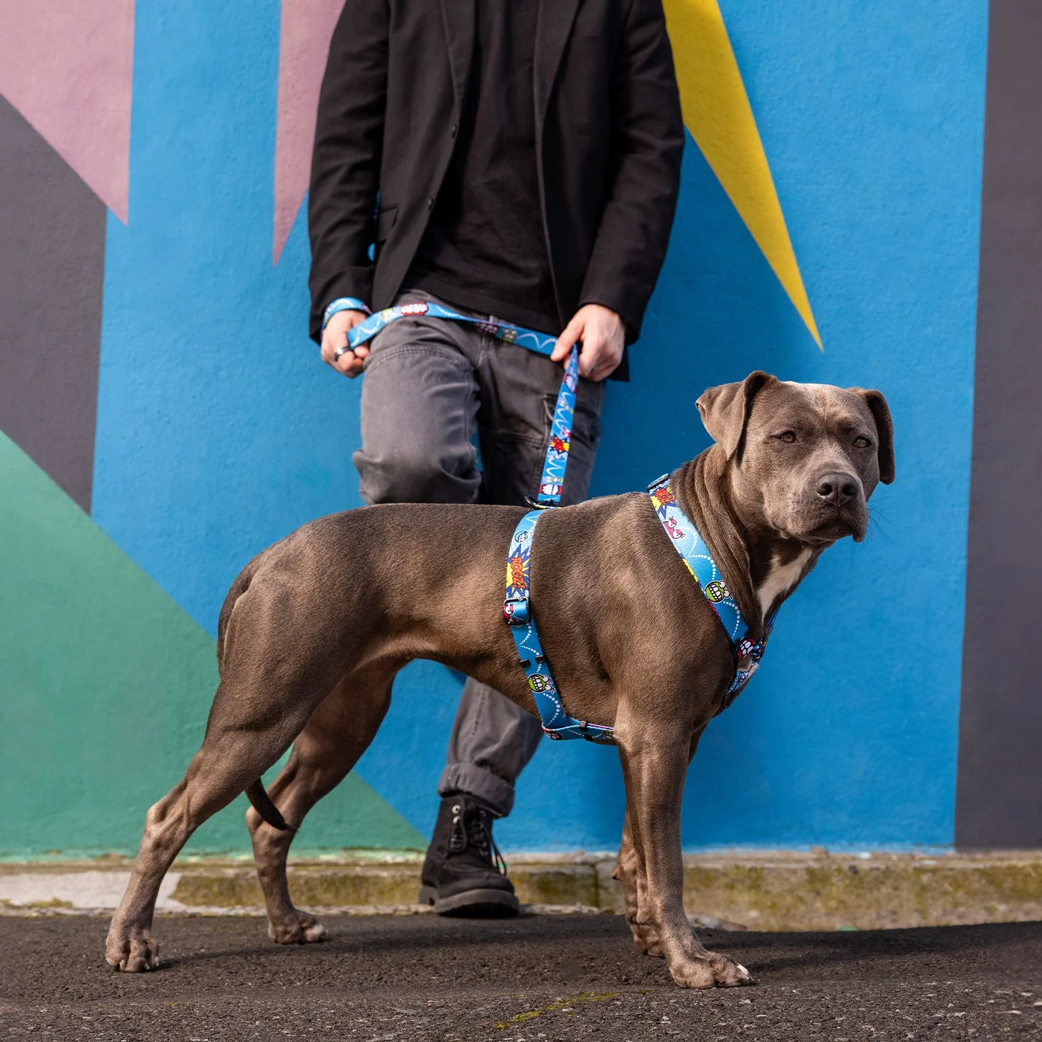 Arnés Para Perro, Modelo Fusion De Rogz, Estampado Comic Azul. Talla L (21-40kg) - Image 4