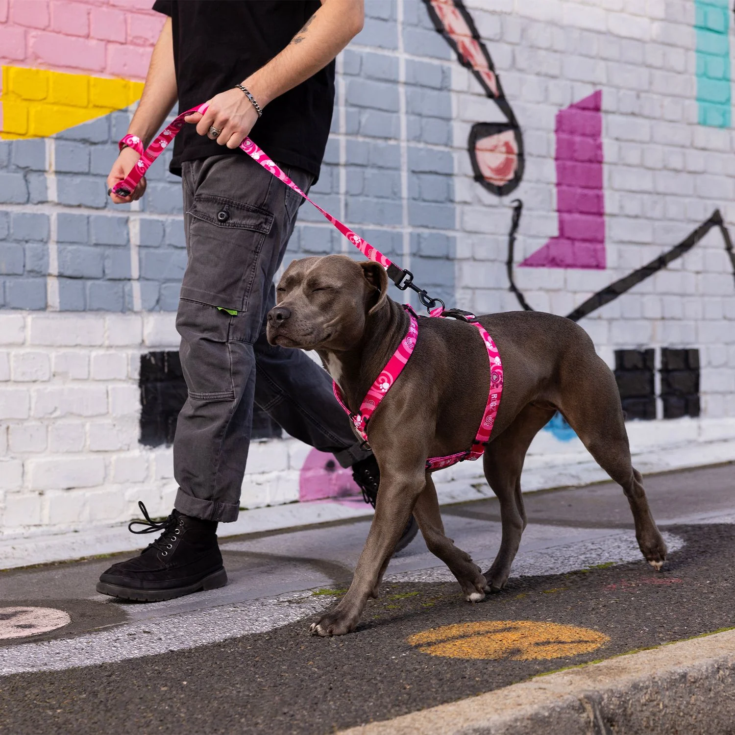 Arnés Para Perro, Modelo Fusion De Rogz, Estampado Huellas Rosas. Talla L (21-40kg) - Image 4