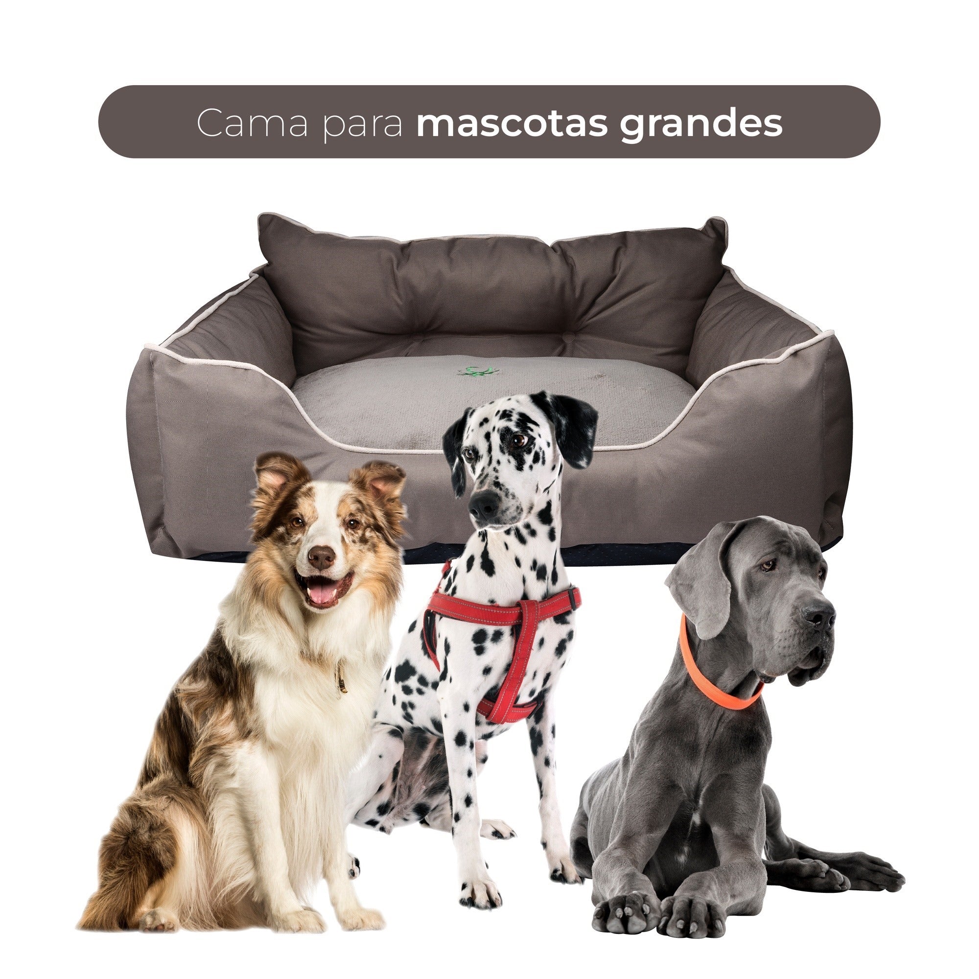 Cama Para Mascota 90x70x28cm Marrón + Abrigo Azul Para Mascotas 40cm - Image 4