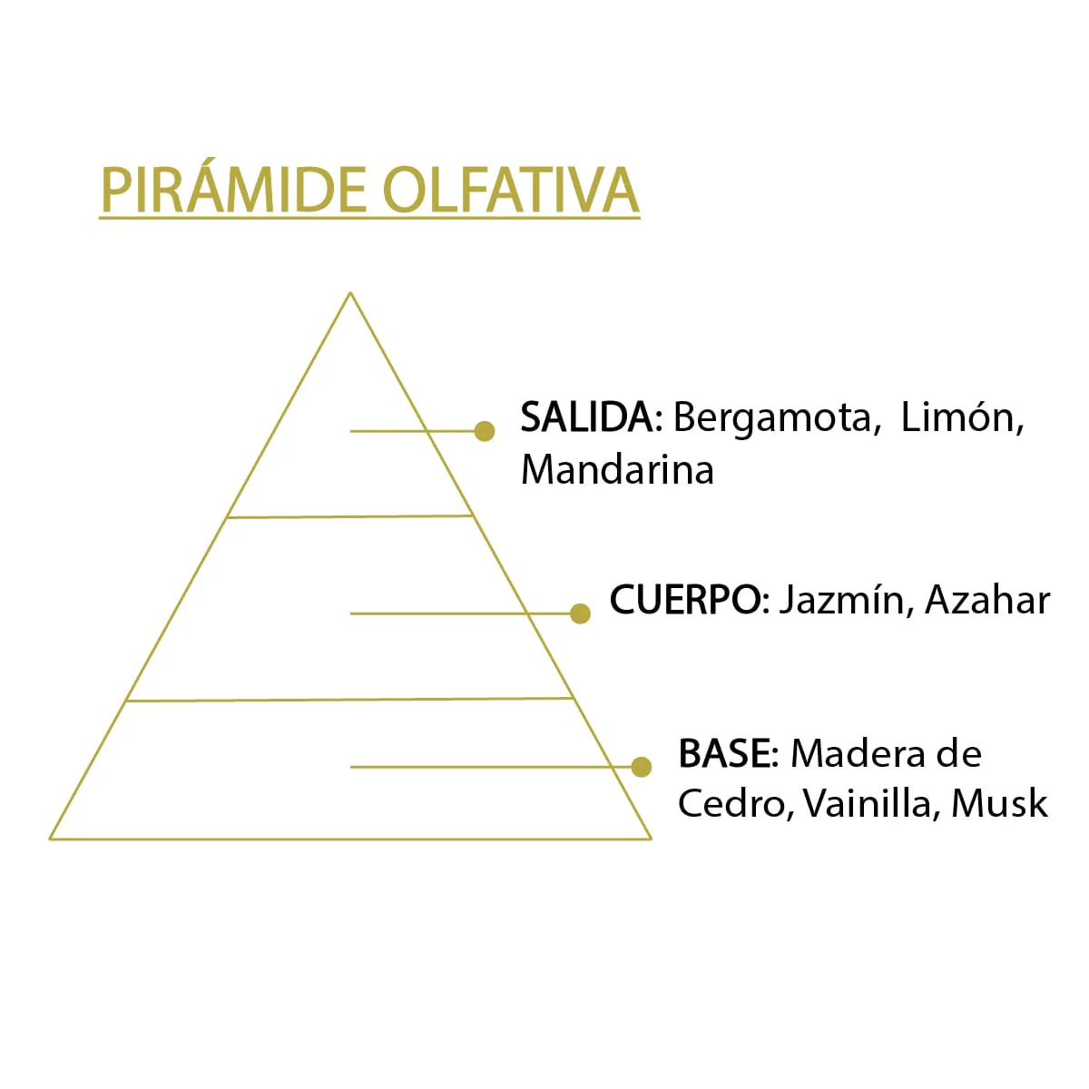 Esencia Aromática Azahar 12 ml | Aroma Floral Relajante | Perfume Concentrado | Uso en Difusores - Image 4
