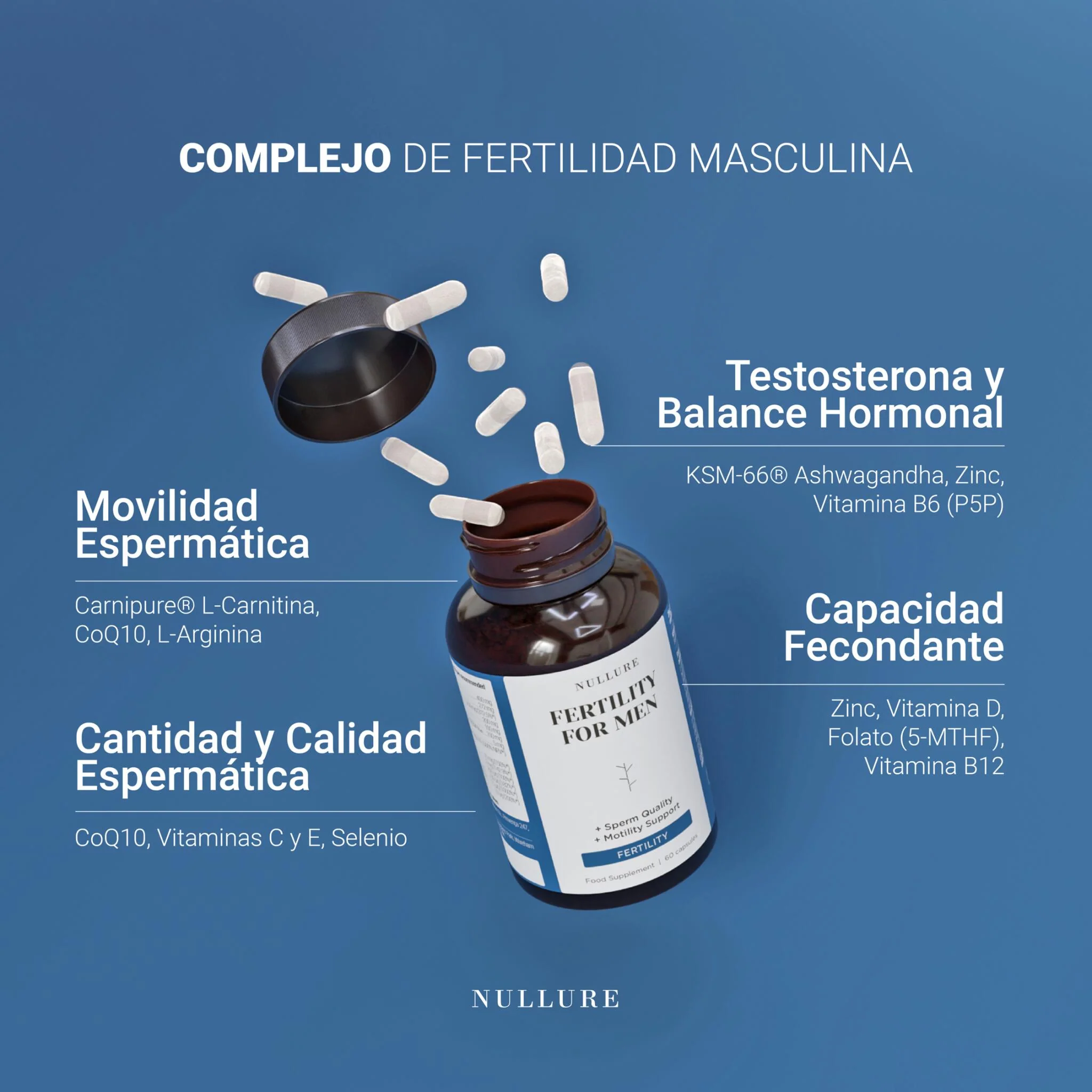 Fertilidad Masculina Con L-carnitina, Coq10 Y L-arginina – Recuento Y Motilidad Espermática (60 Cápsulas) - Image 2