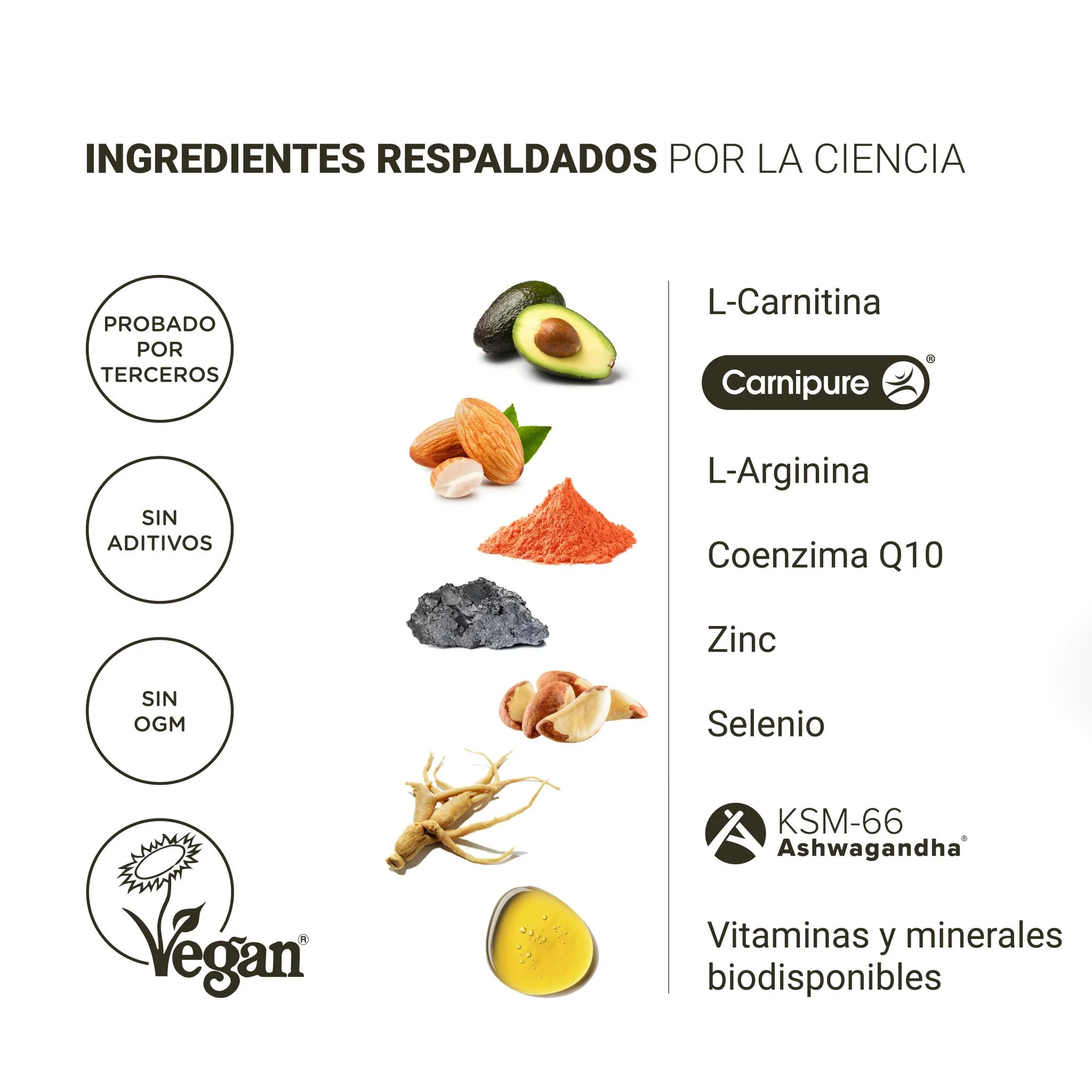 Fertilidad Masculina Con L-carnitina, Coq10 Y L-arginina – Recuento Y Motilidad Espermática (60 Cápsulas) - Image 4