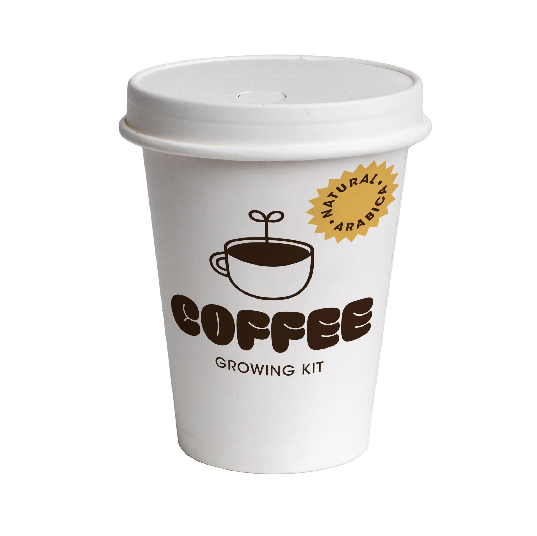 Kit Cultivo De Café | Cultiva Tu Propio Cafeto En Casa | Regalo Original Para Amantes Del Café
