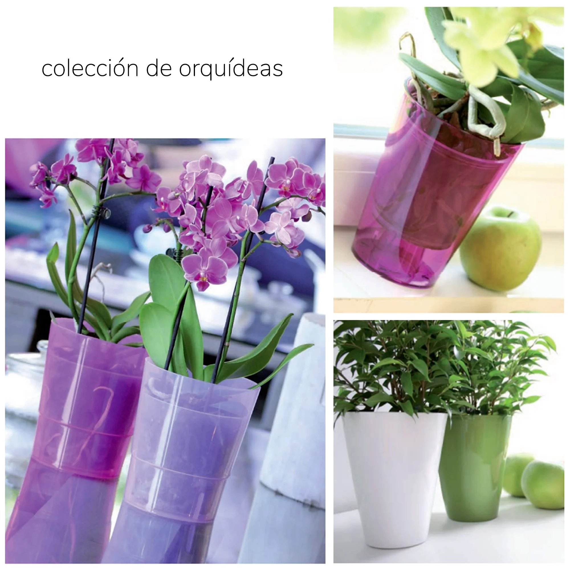 Maceta Coubi Orchid 1,1l., Dimensiones (mm) 125x125x147, Color Verde Opaco - Image 2