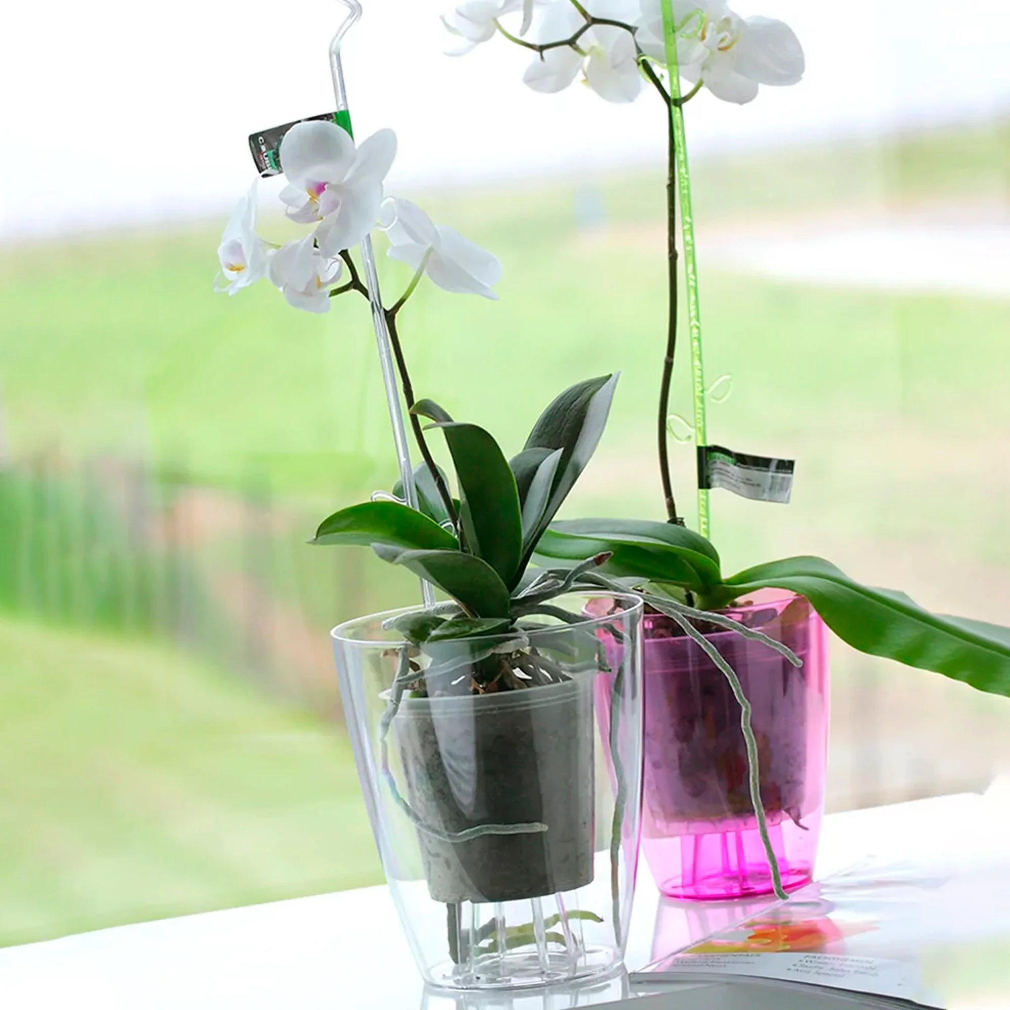 Maceta Coubi Orchid 2,4l., Dimensiones (mm) 160x160x183, Color Transparente - Image 4