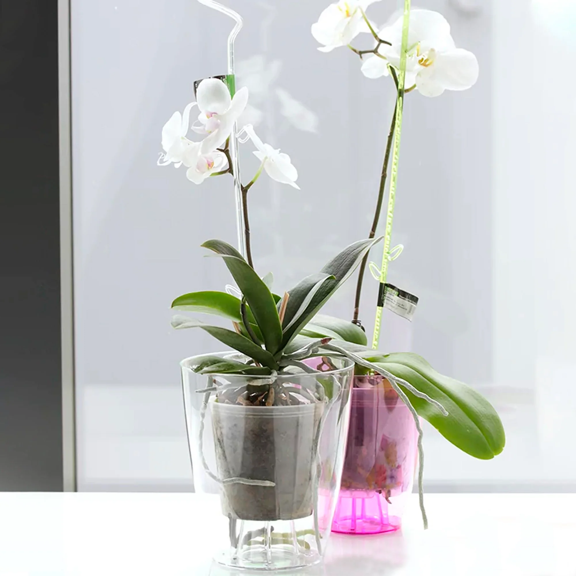 Maceta Coubi Orchid 2,4l., Dimensiones (mm) 160x160x183, Color Transparente - Image 5