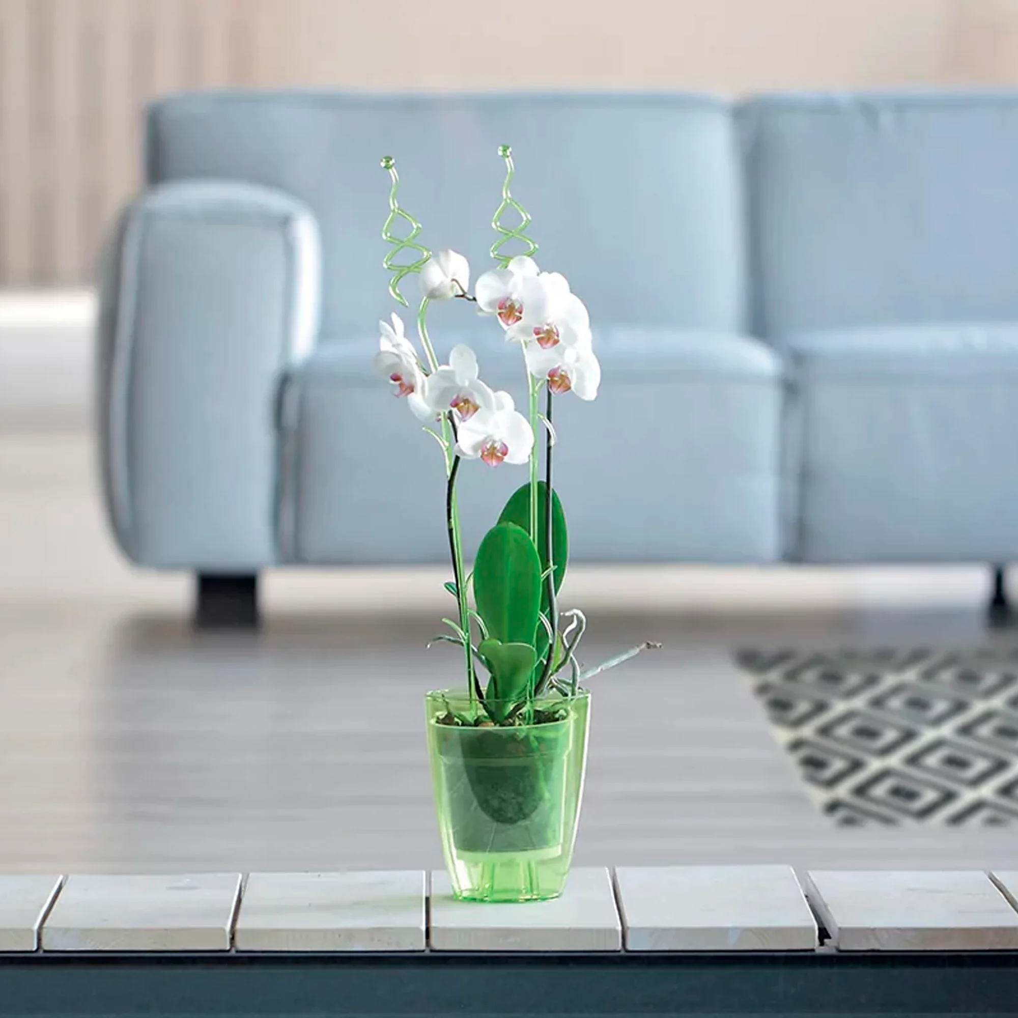 Maceta Coubi Orchid 2,4l., Dimensiones (mm) 160x160x183, Color Transparente - Image 6