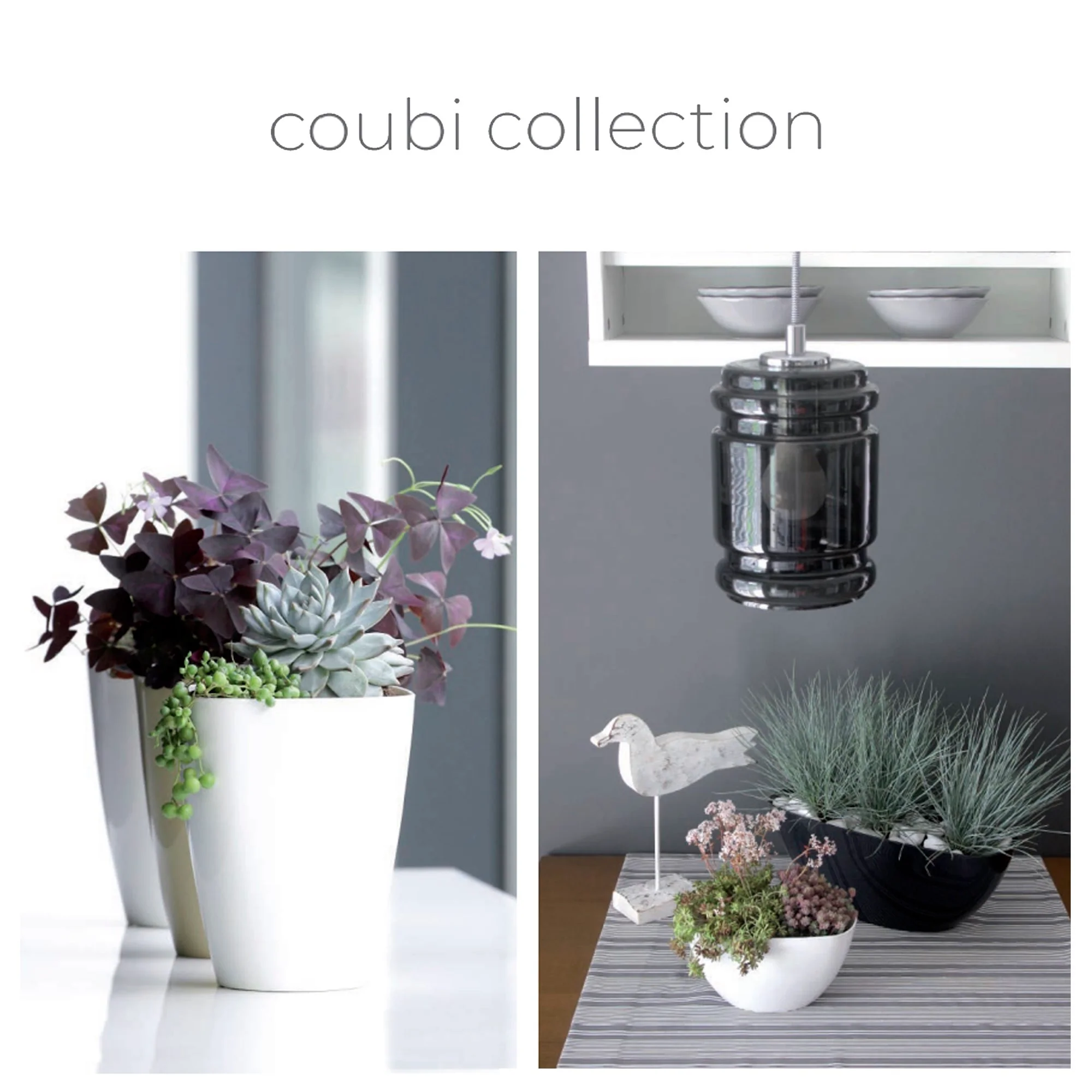 Maceta Coubi Orchid 3,8l., Dimensiones (mm) 360x150x132, Color Antracita - Image 2