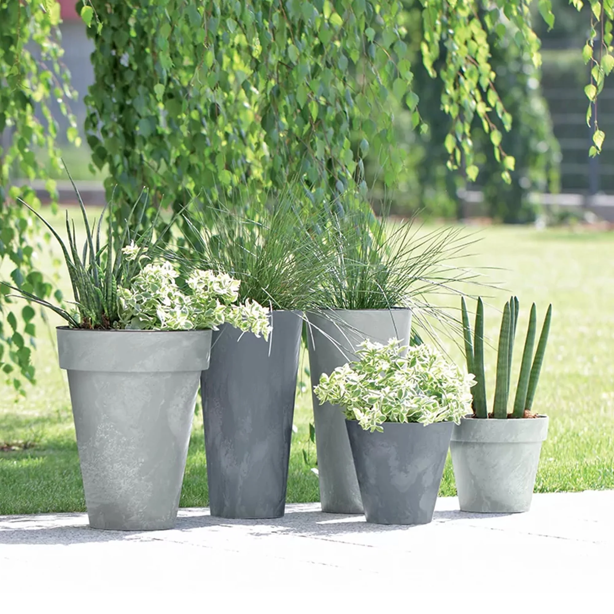 Maceta Cube Beton Effect 0,6l., Dimensiones (mm) 110x110x97, Color Marengo - Image 5