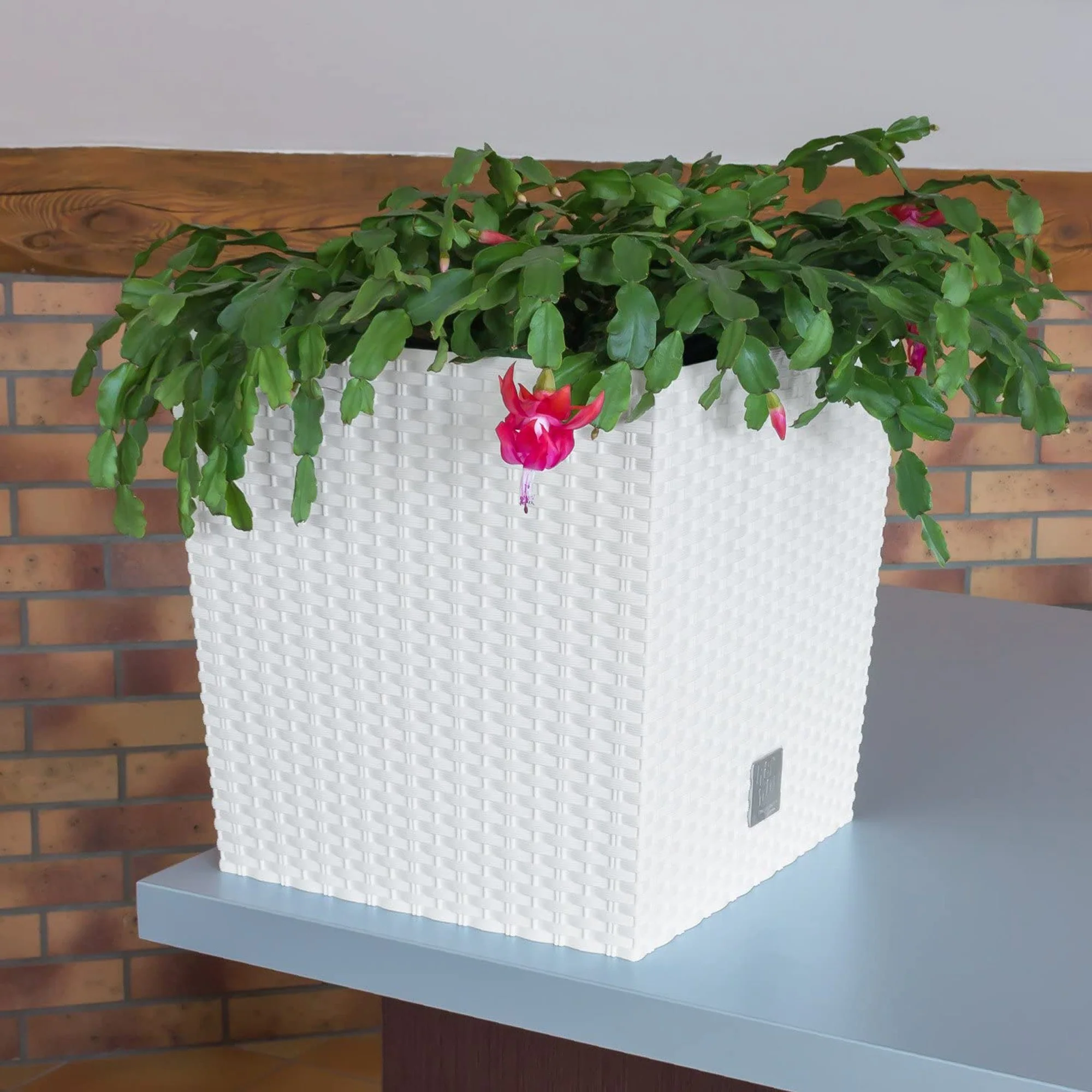 Maceta Rato 15,8 Litros Con Cubilete Para Plantar En Color Blanco 26,2 X 26,2 X 26,6 Cm. - Image 5