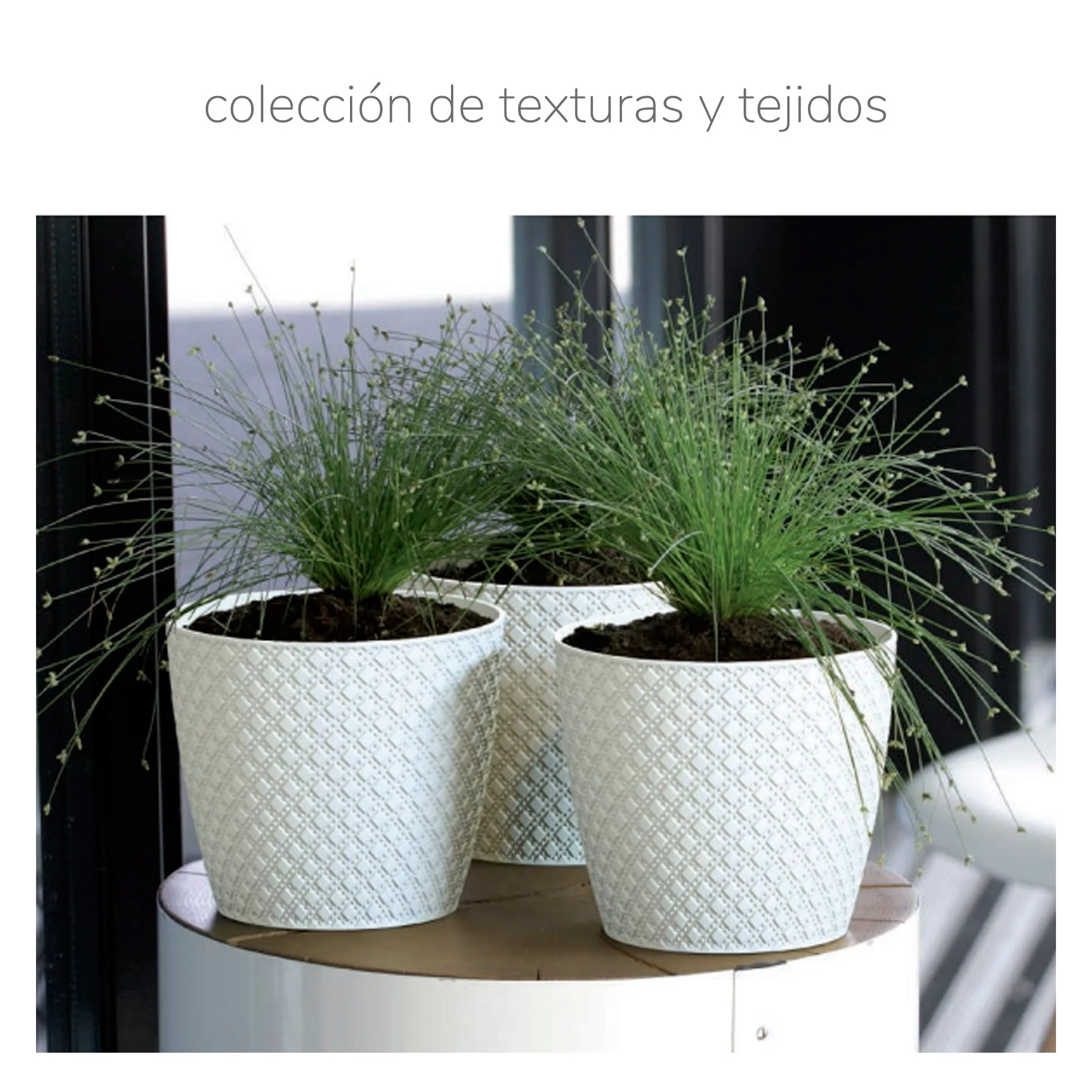 Maceta Wheaty 1l., Dimensiones (mm) 128x128x112, Color Gris Piedra - Image 2