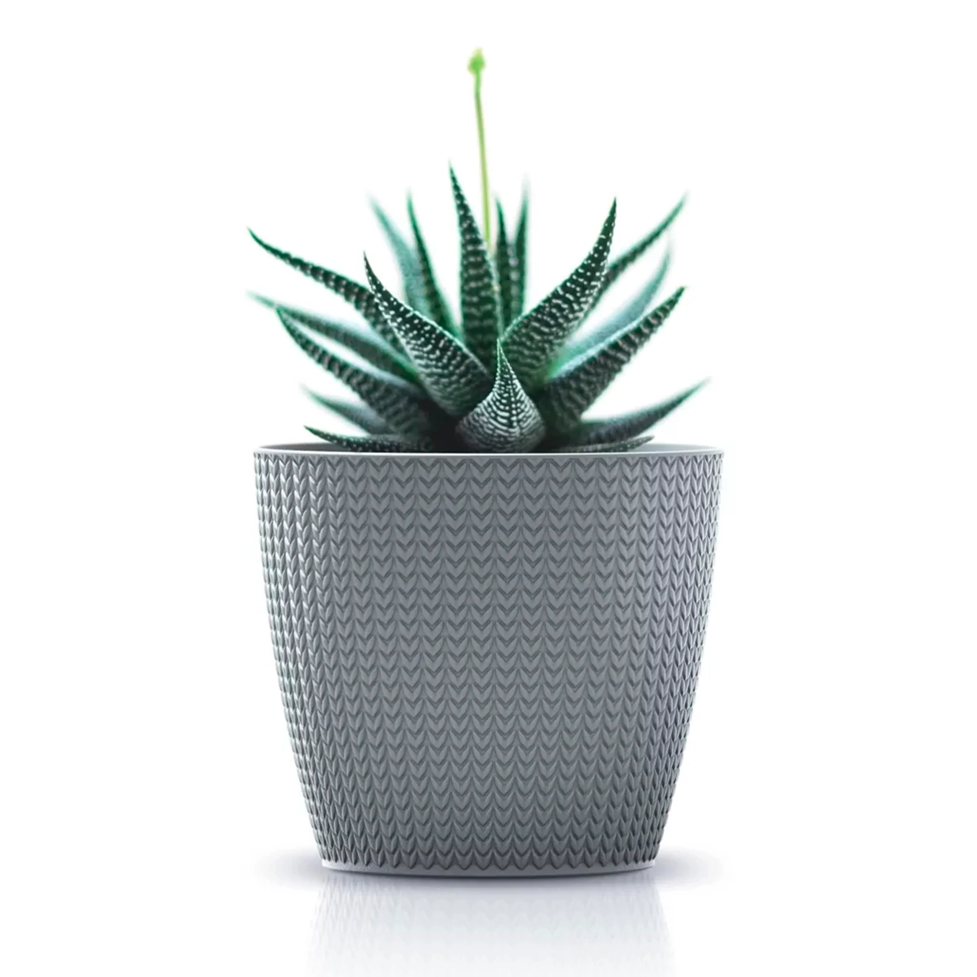 Maceta Wheaty 1l., Dimensiones (mm) 128x128x112, Color Gris Piedra - Image 4