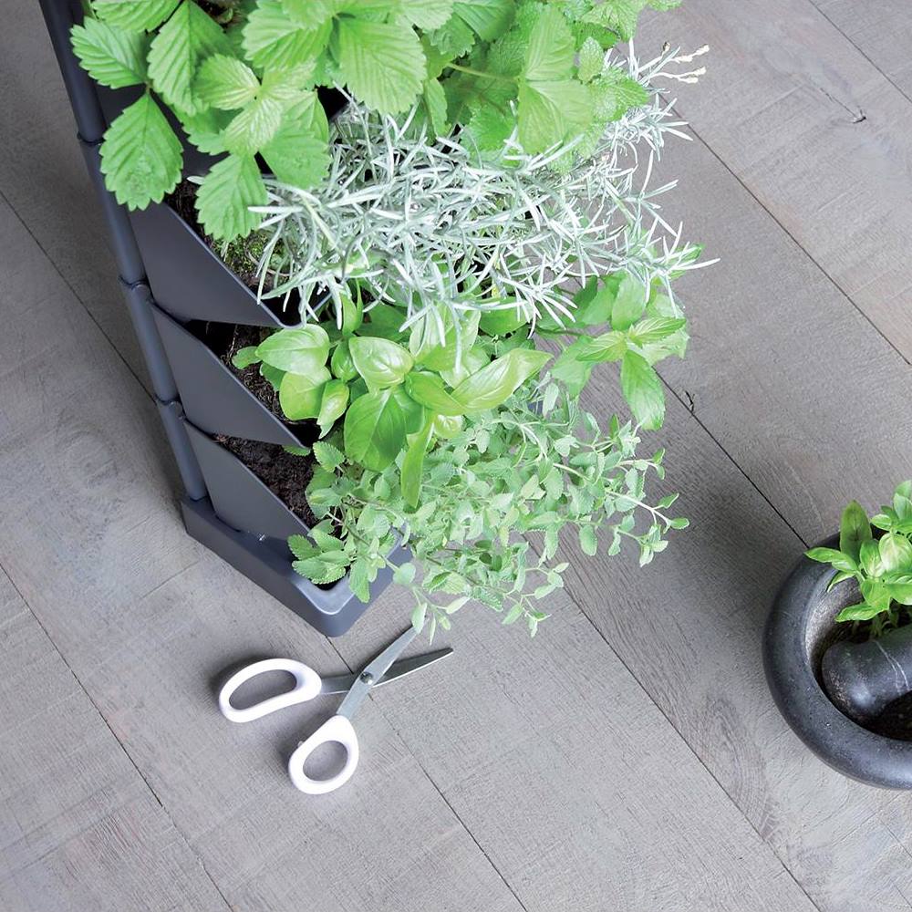 Macetero Vertical Prosperplast Mini Cascade De Plastico En Color Antracita 19,5 (largo) X 11,4 (ancho) X 47,5 (alto) Cm Con Tijeras De Jardin - Image 5