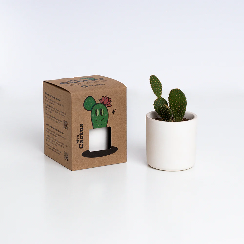 Mrs. Cactus | Kit De Cultivo De Cactus Con Maceta De Barro Artesanal - Image 3