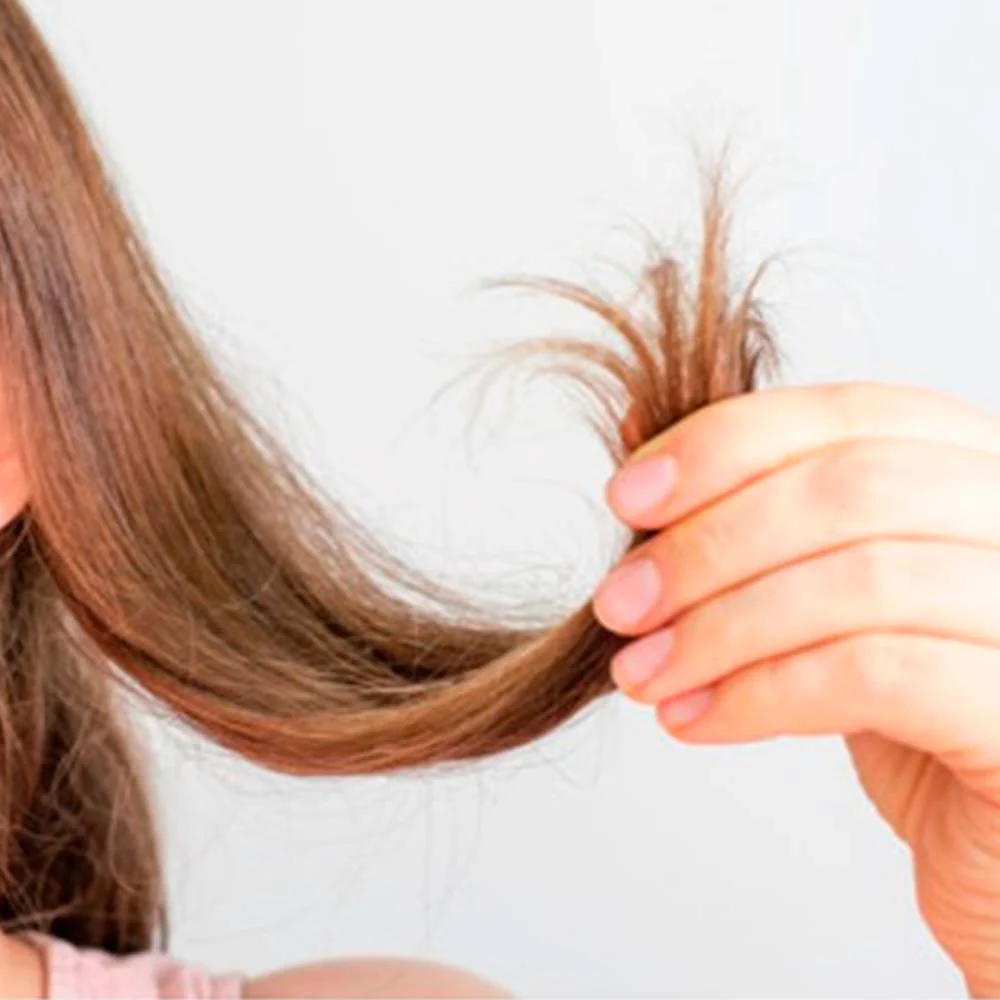 Pack 4 Champú Sólido para Cabello Fino - 100% Natural - Aporta Volumen, Brillo y Suavidad - Con Manteca y Polvo de Cacao - Image 2