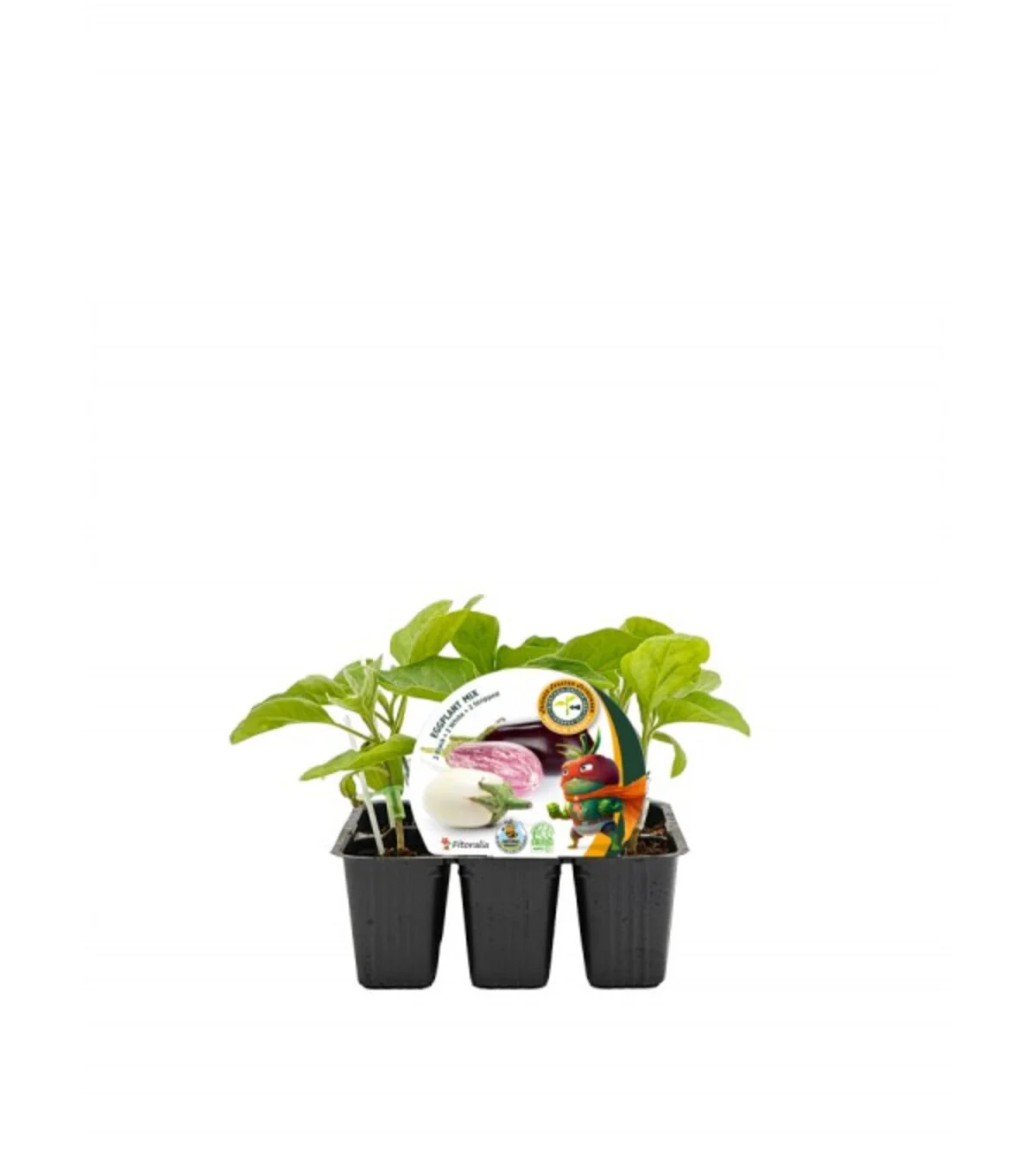 Pack Plantones Injertado Berenjenas Eggplant Mix 6 Ud. Natural - Fitoralia