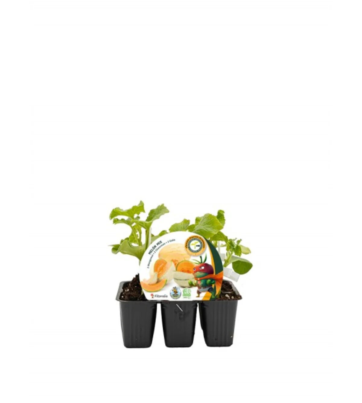 Pack plantones melón mix injertado híbrido natural - Fitoralia