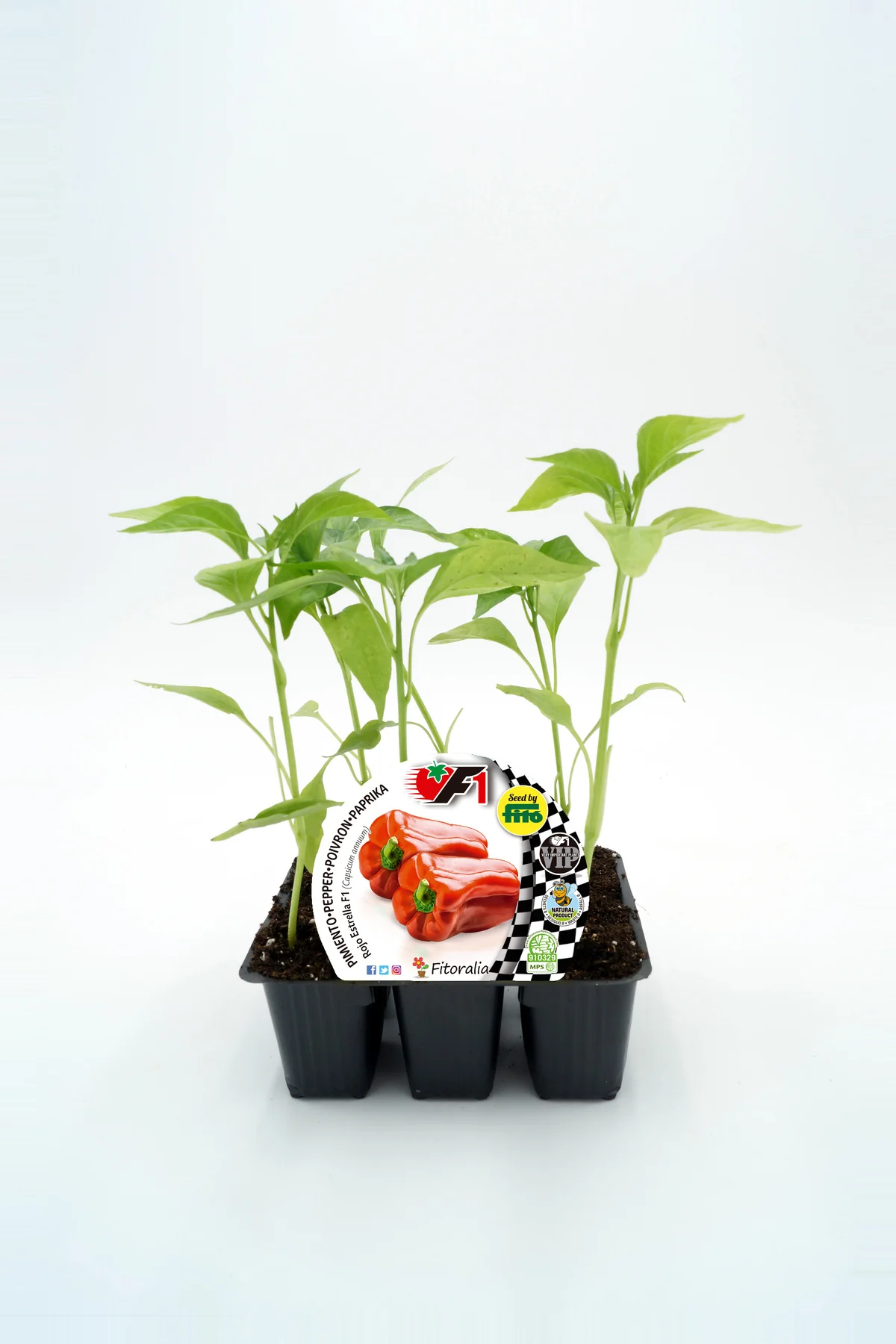 Pack plantones pimiento estrella rojo Híbrido 6 Ud. natural- Fitoralia