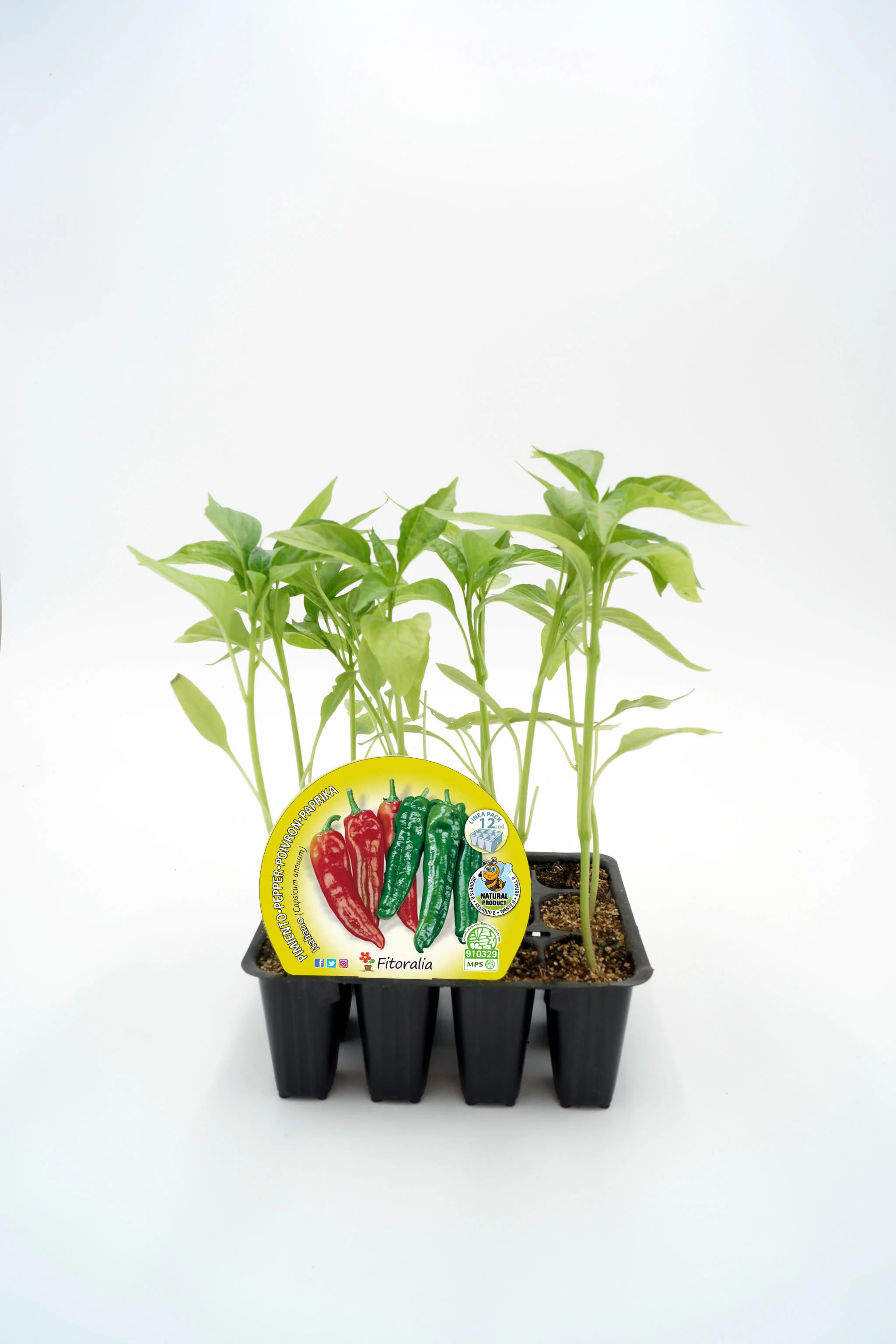 Pack Plantones Pimiento Italiano 12 Ud. Natural - Fitoralia