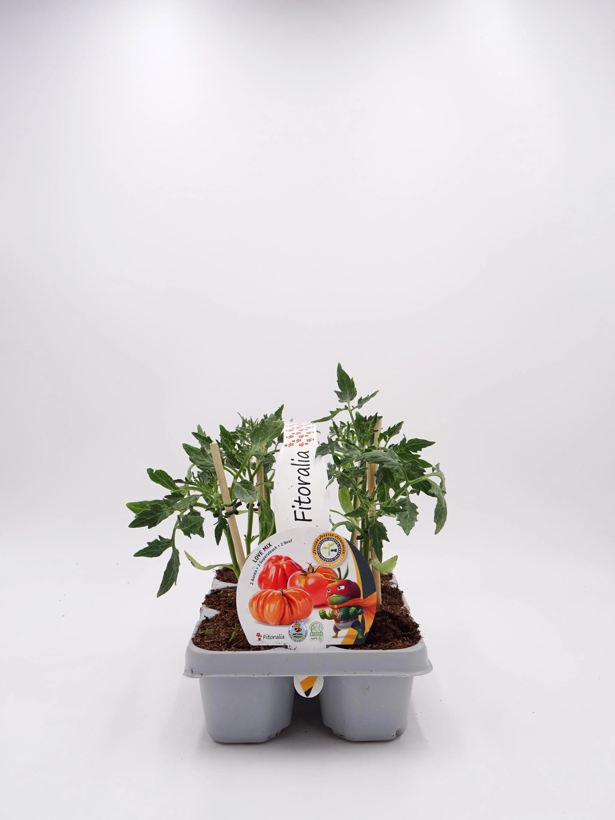 Pack Plantones Tomates Love Mix Injertados E Hibridos 6 Ud. Natural – Fitoralia