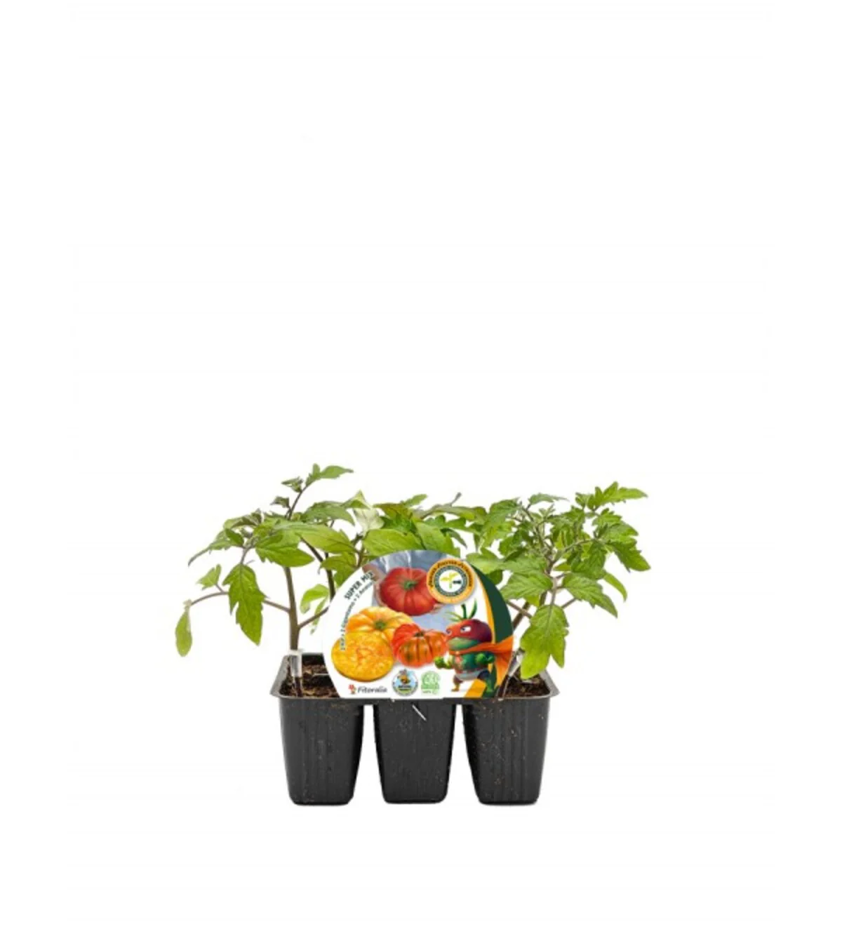Pack Plantones Tomates Super Mix Injertados E Hibridos 6 Ud. Natural - Fitoralia