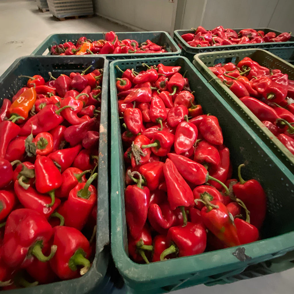 Piquillos Con Salsa De Tomate Eco 290g. - Image 4