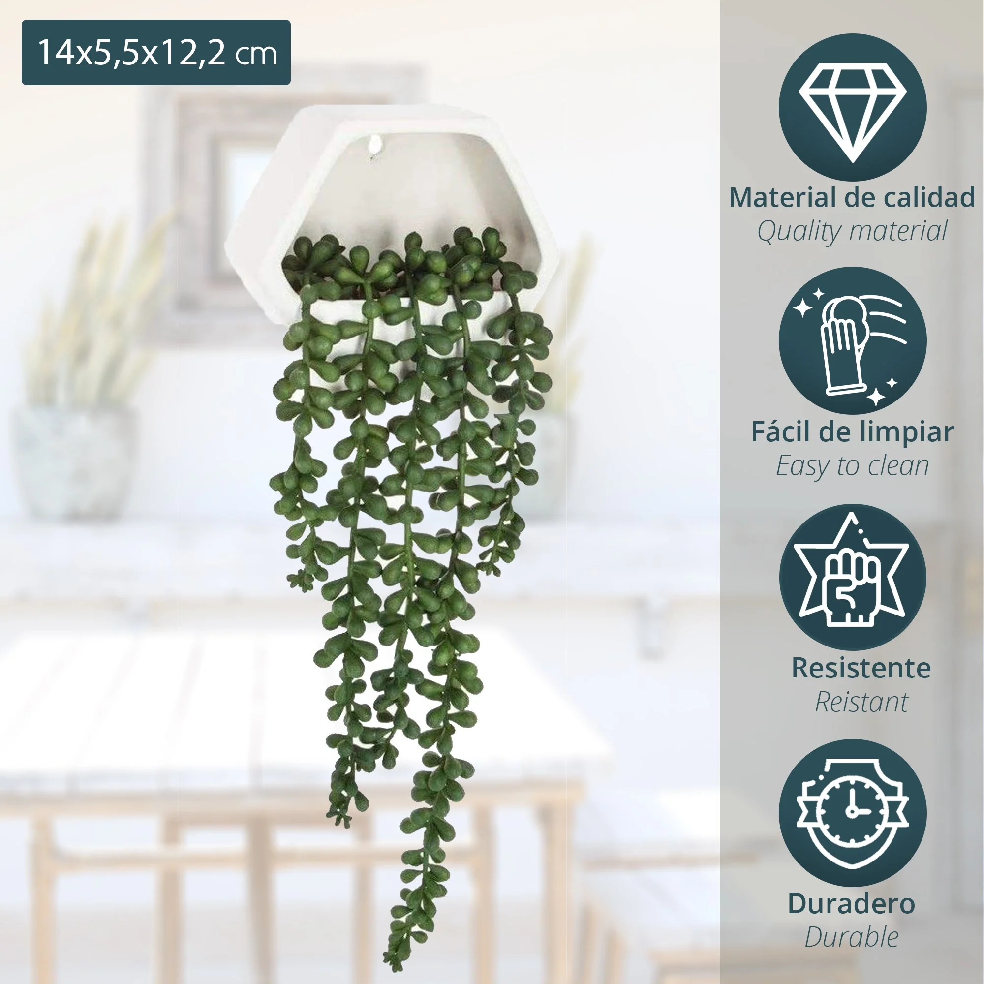 Planta Colgante De Pared Contemporánea- Altura Total Con Planta Caída: 45 Cm - Image 2