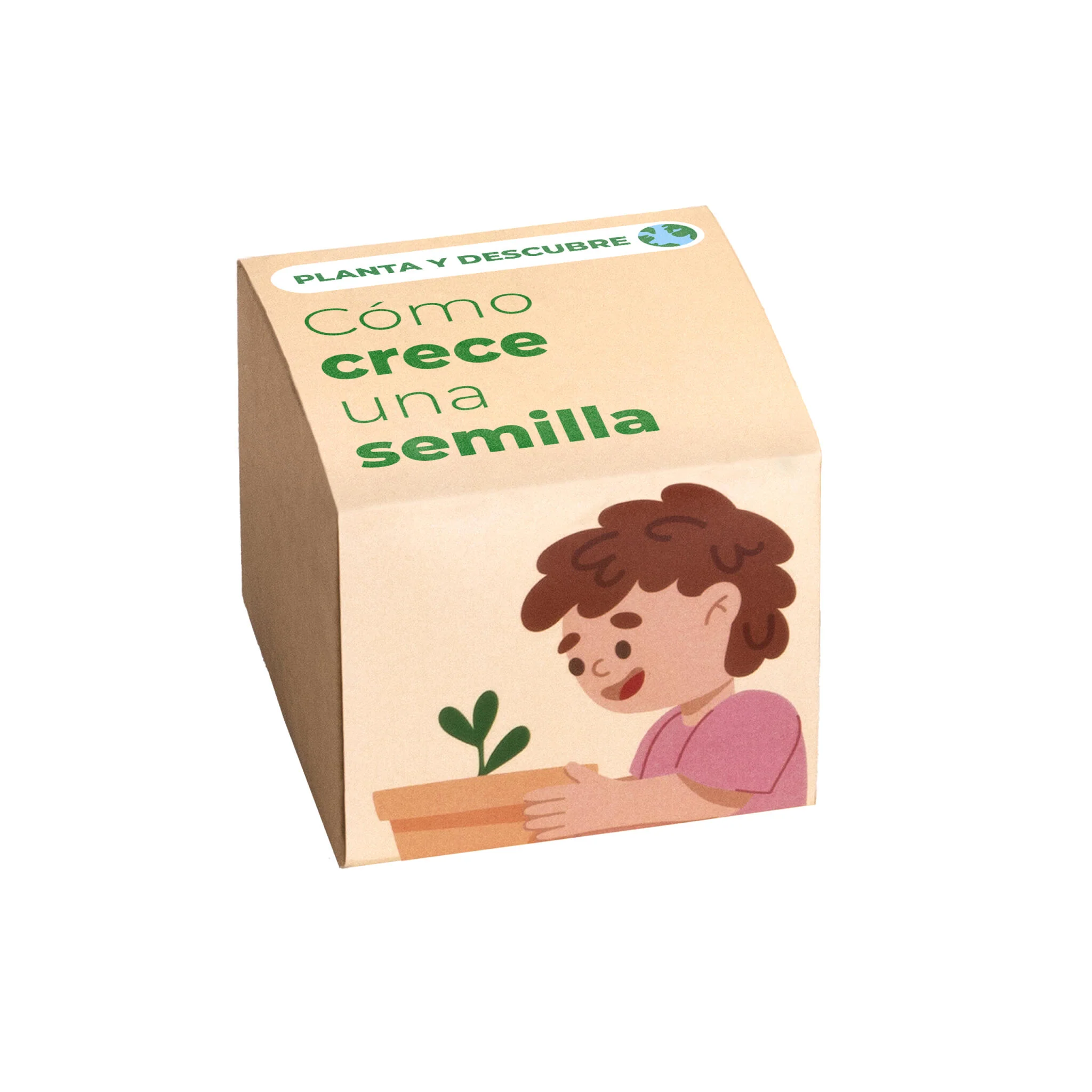 Planta Y Descubre | Kit Germinación Para Niños | Aprende Cómo Crece Una Semilla Paso A Paso (stem)
