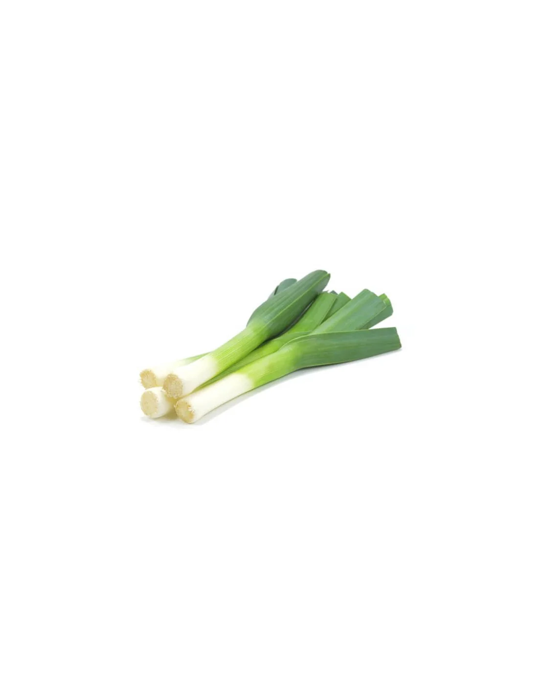 Puerro Bio - 1kg