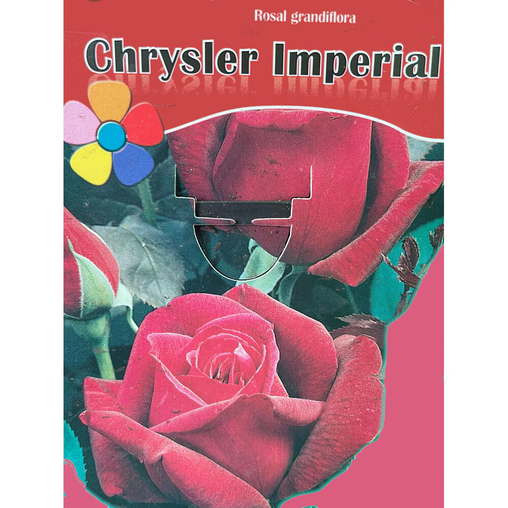 Rosal Chrysler Imperial 2lt