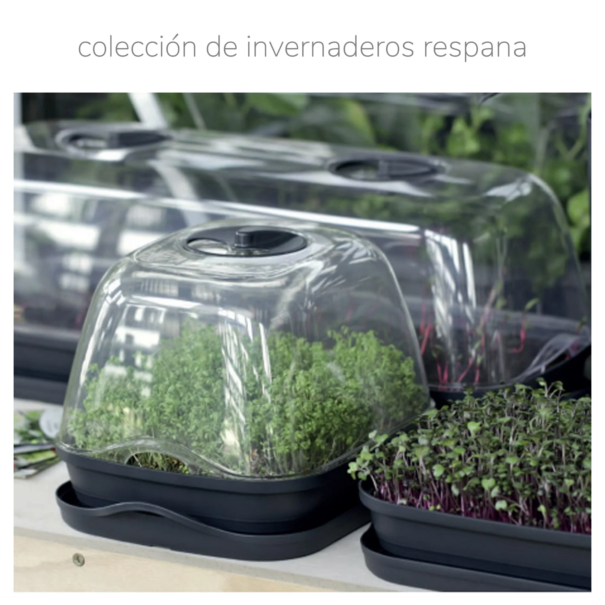 Semillero/bandeja Multiusos Con Tapa De Policarbonato Respana Table Greenhouse 3,6l., Dimensiones (mm) 391x257x185, Color Gris Piedra - Image 2