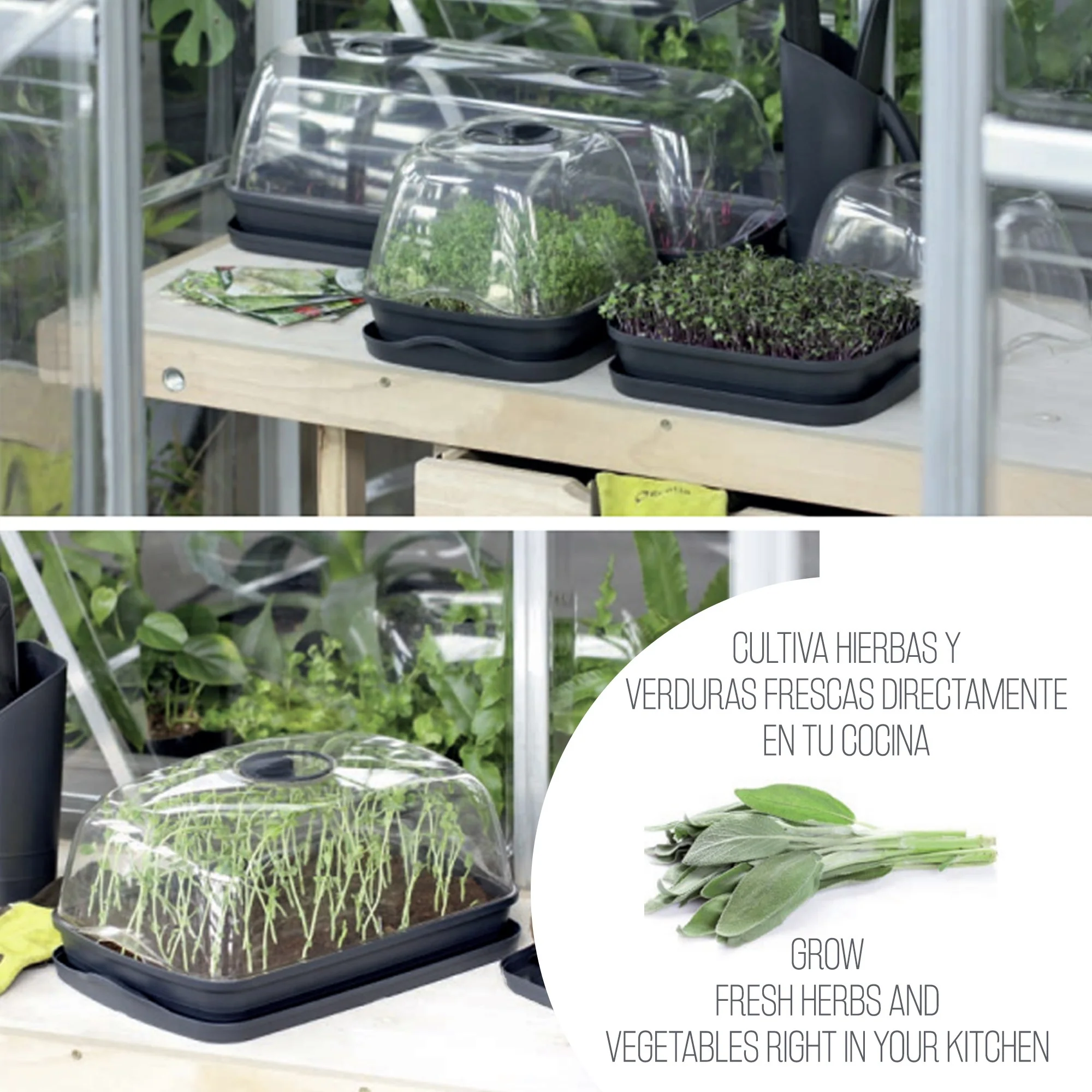 Semillero/bandeja Multiusos Respana Table Greenhouse, Dimensiones (mm) 515x196x185, Color Gris Piedra - Image 4