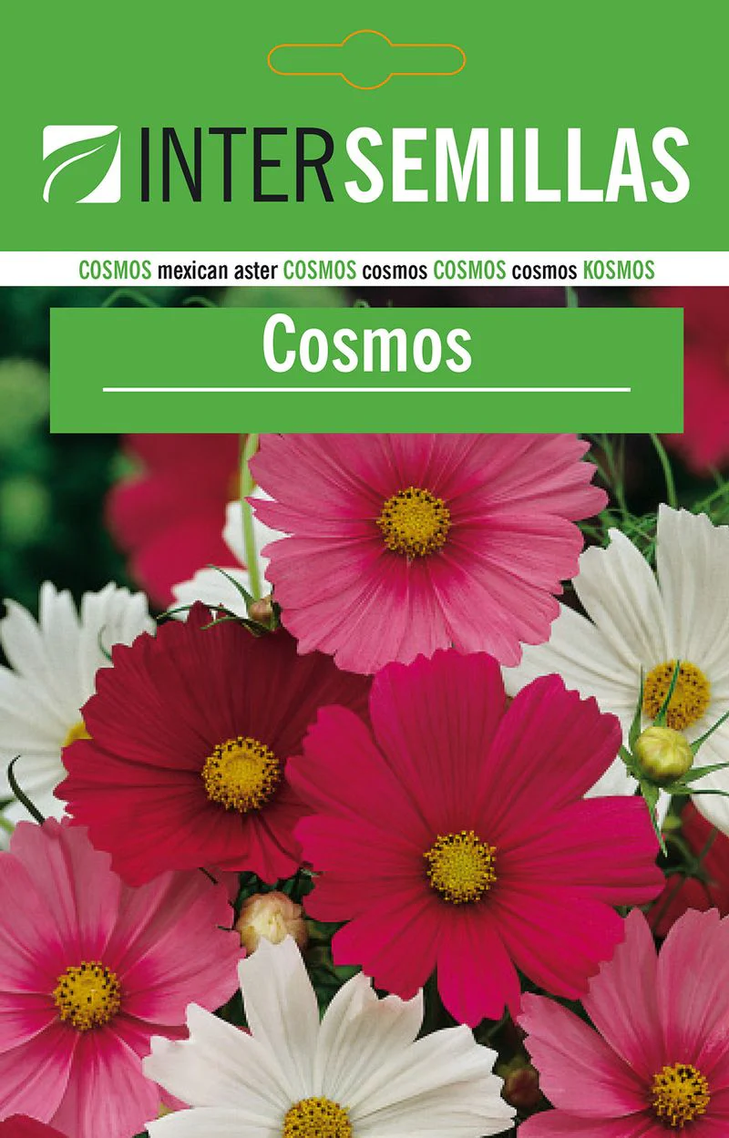 Sobre De Semillas De Cosmos