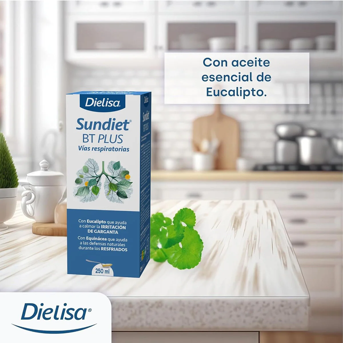 Sundiet Bt Plus 250 Equinacea DIELISA 285g - Image 2